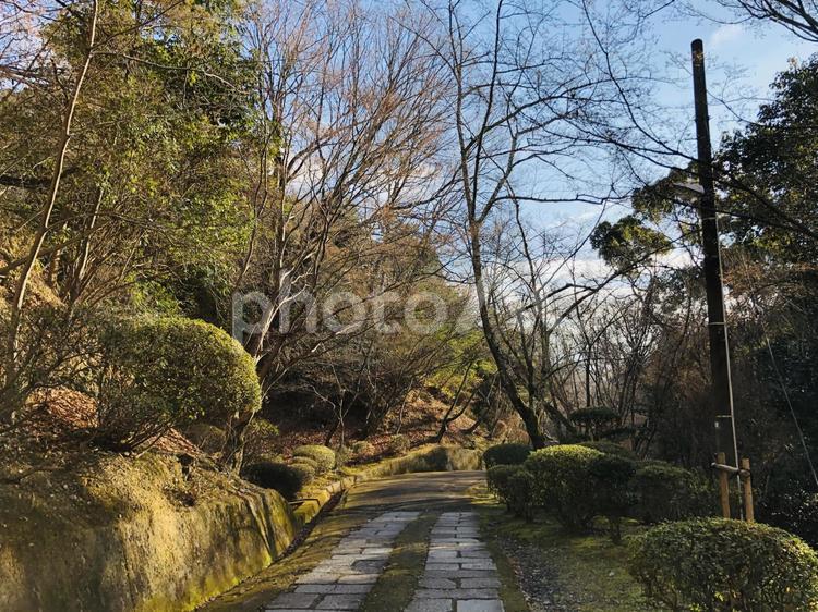 早朝の石畳の坂道 早朝,朝,自然の写真素材