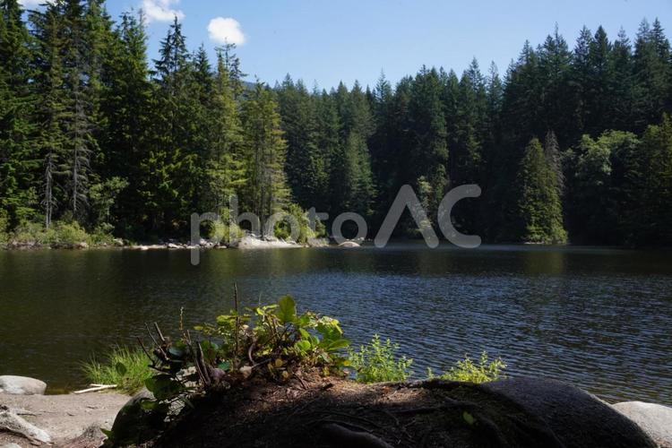 カナダの自然 湖,風景,カナダの写真素材