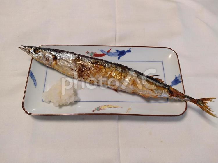 生サンマの塩焼き さんま,秋刀魚,豊漁の写真素材