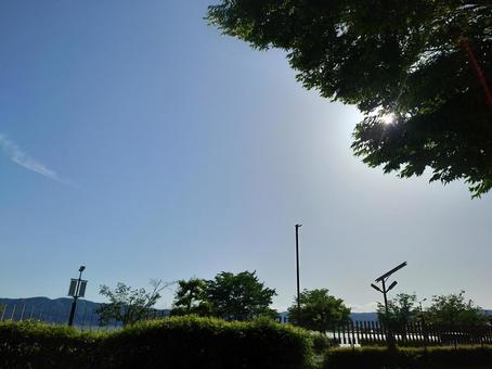 木の枝から覗く太陽 木の枝から覗く太陽の写真