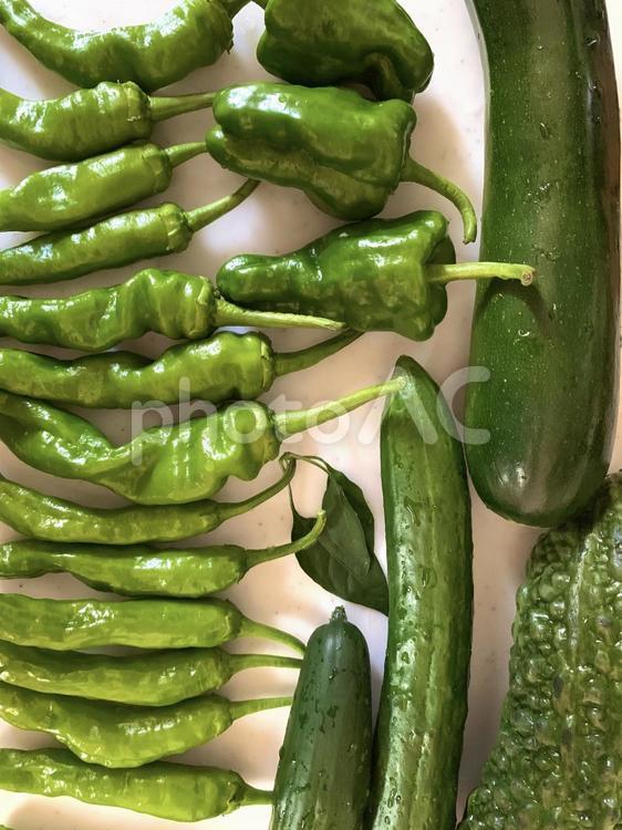 夏野菜のイメージ きゅうり,ズッキーニ,ゴーヤの写真素材