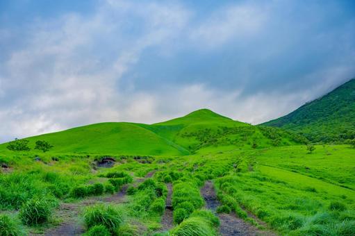 夏の由布岳 大分 夏の由布岳 大分の写真