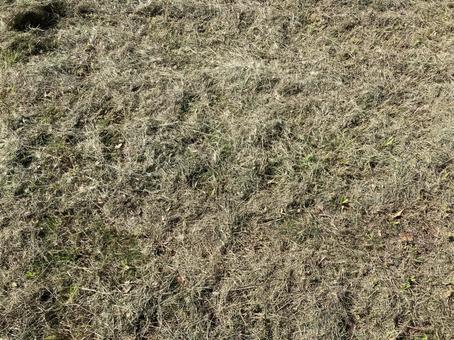 芝刈後の風景 芝刈後の風景の写真