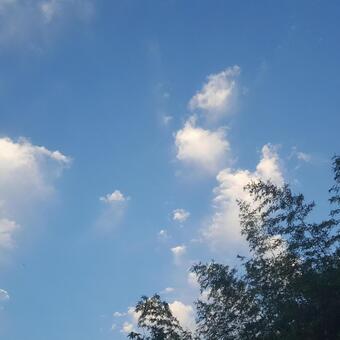 夕方の空 夕方の空の写真