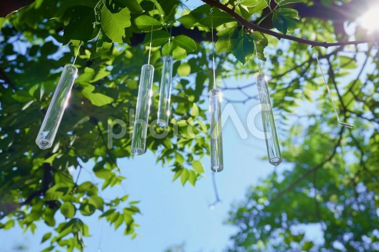 木陰に揺れる風鈴 風鈴,夏,涼しさの写真素材
