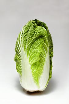 白菜4 白菜4 新鮮,野菜,生の写真素材