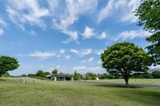 平和な休日の公園で 平和な休日の公園で 公園,広場,休日の写真素材