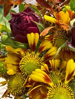 初秋の花 初秋の花の写真