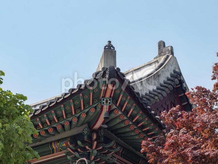 韓国ソウルの仏教寺院 韓国,ソウル,韓国仏教の写真素材
