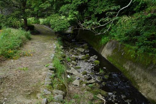 公園の小川 公園の小川 公園,風景,木の写真素材