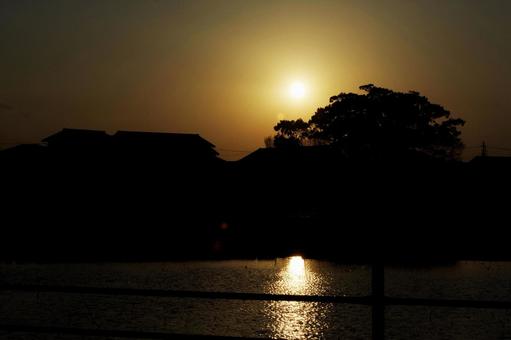 夕日 夕日の写真