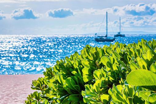 輝く海を背景にヨットが浮かぶ美しい海岸 輝く海を背景にヨットが浮かぶ美しい海岸 海,ヨット,ビーチの写真素材