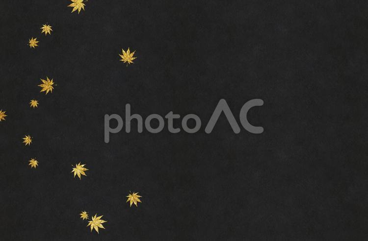 黒色の和紙に金色の紅葉の背景画像 和風,背景,秋の写真素材