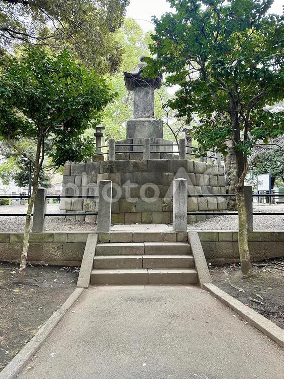 上野恩賜公園　上野公園　冬の公園　冬 上野恩賜公園,上野公園,冬の公園の写真素材