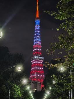 夜空に輝く東京タワー 東京タワー,夜景,ライトアップの写真素材