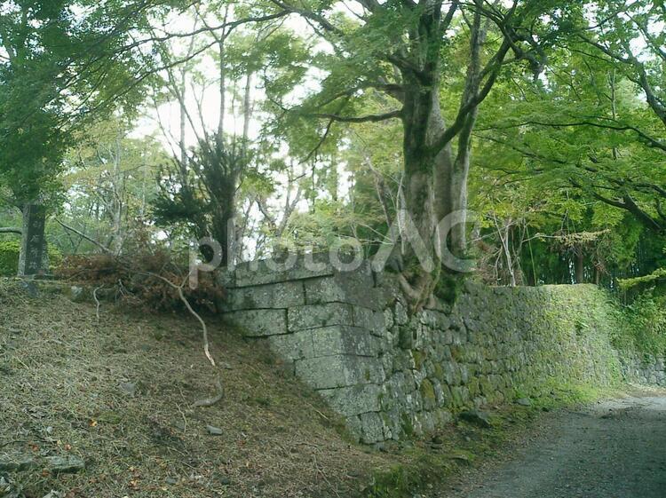 岡城の御廟所 岡城の写真素材