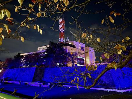 11月　ライトアップされる福井城跡 飾り,ブルーライト,青の写真素材