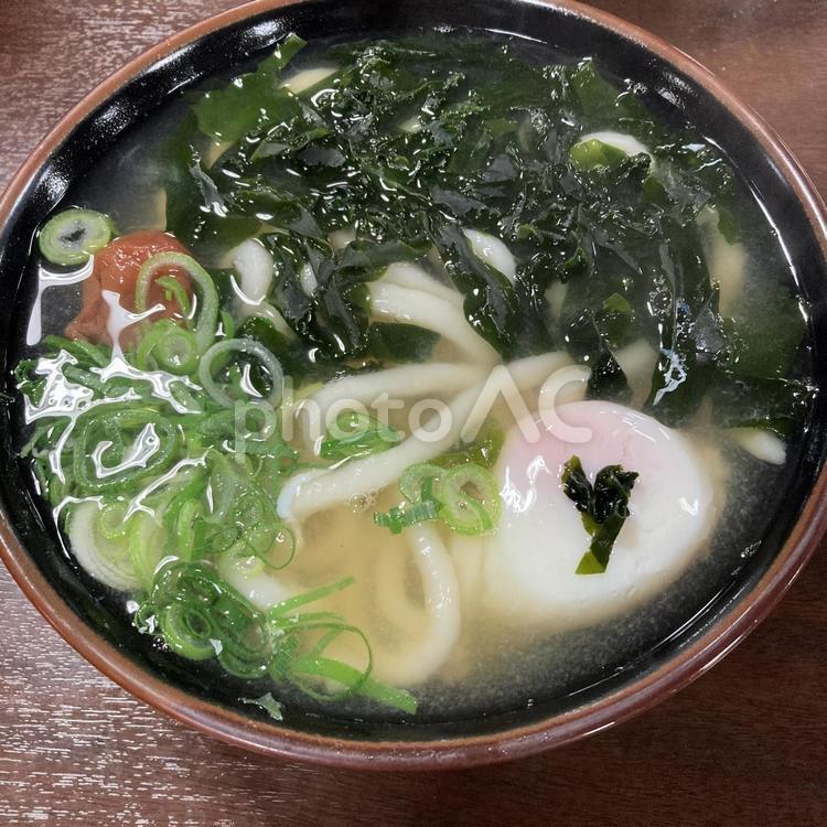 出汁が美味しいうどん〜梅干し、わかめ うどん,麺類,梅干しの写真素材