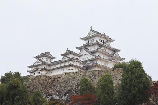 姫路城 姫路城 姫路城,秋,城の写真素材