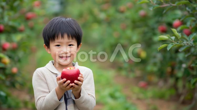 りんご狩りで少年が赤いりんごを持つ りんご狩り,りんご,赤いの写真素材
