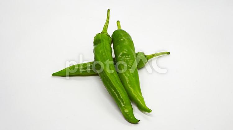青唐辛子（ししとう） 青唐辛子,ししとう,野菜の写真素材