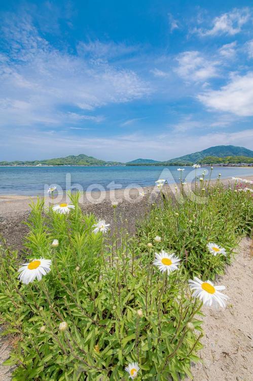 海岸から眺める海の景色 海,海岸,海岸沿いの写真素材