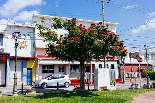 金武町の町並み 金武町の町並み,金武町,町並みの写真素材