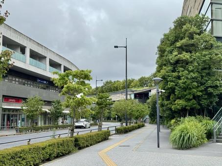 二子玉川公園通り 二子玉川公園通り 二子玉川,ライズ,二子玉川ライズバーズモールの写真素材