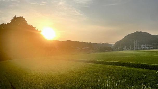 田んぼ・農業 田んぼ・農業 農業,農家,田んぼの写真素材