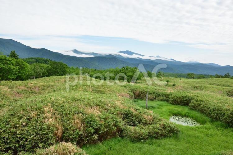 知床の風景 知床,北海道,世界遺産の写真素材