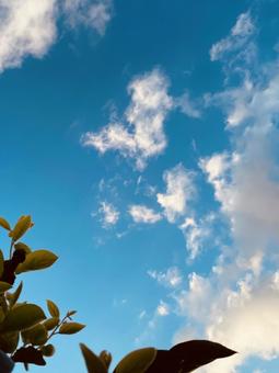 朝方の空 朝方の空の写真