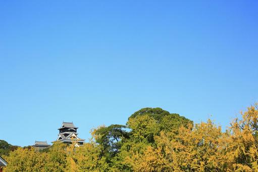 秋空に映える熊本城と紅葉 熊本城,城,熊本の写真素材
