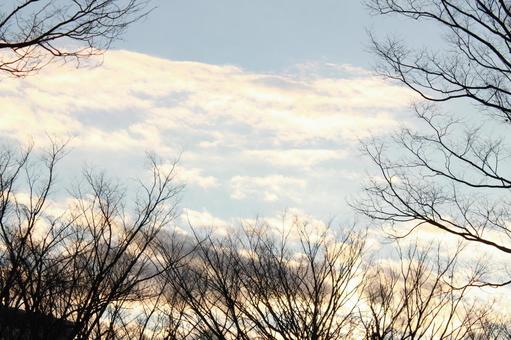 冬の輝く空 空,背景,バックの写真素材