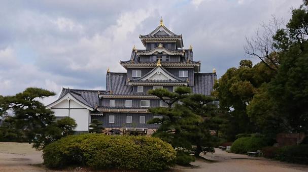 岡山城 岡山城 空,木,城の写真素材