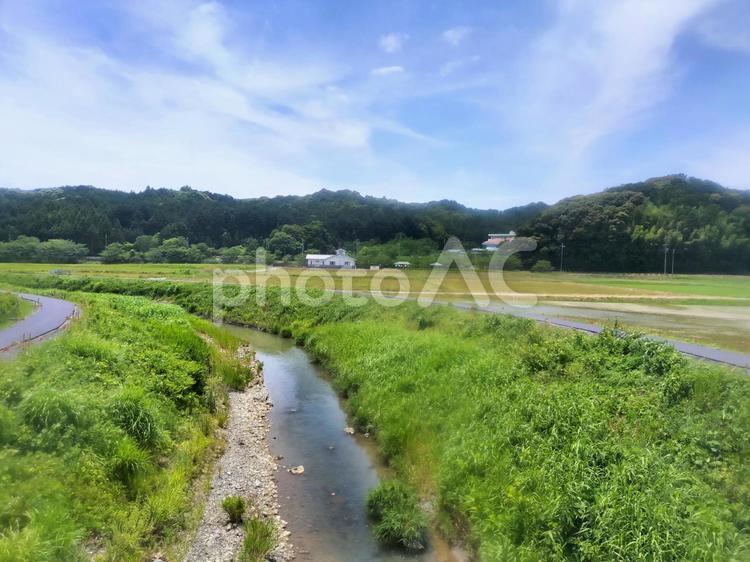 天浜線車窓から見た磐田市大当所の敷地川 敷地川,天竜浜名湖鉄道,天竜浜名湖線の写真素材
