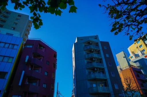 新宿の色彩豊かな低層ビル 新宿の色彩豊かな低層ビル ビル,建物,低層ビルの写真素材