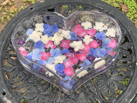 花のハート 花のハート ブルー,ピンク,しろの写真素材