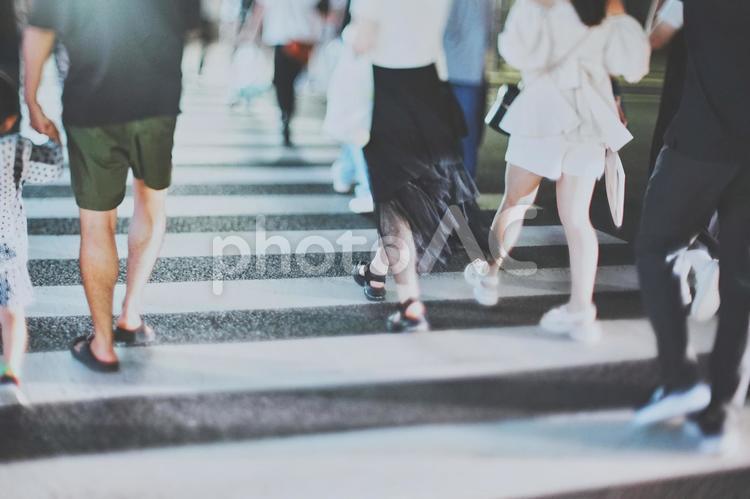横断歩道を渡る人々 横断歩道,渡る,人物の写真素材