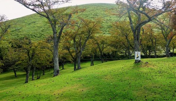 大室山と秋の楽しいイベント25 大室山と秋の楽しいイベント25 大室山,秋のさくらの里,秋の写真素材