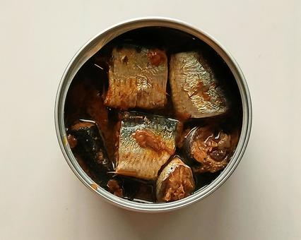 イワシの缶詰 イワシの缶詰 缶詰,イワシ,非常食の写真素材