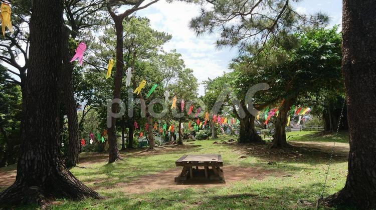 こいのぼりがある公園 こいのぼり,公園,内間西公園の写真素材