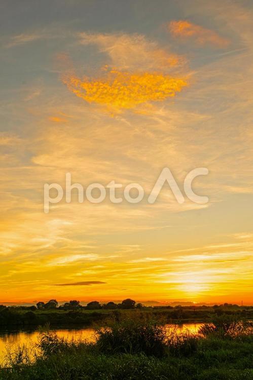利根川の夕焼け 夕焼け,オレンジ色の空,日没の写真素材