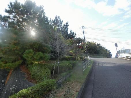 秋の風景 秋,晩秋,自然の写真素材