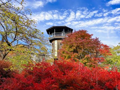 十石峠展望台　晩秋 十石峠展望台,展望台,群馬県の写真素材