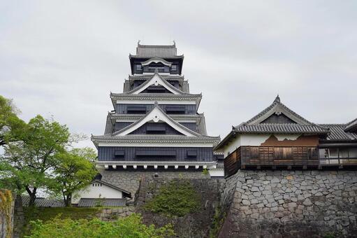 春の熊本城 熊本城,風景,城の写真素材