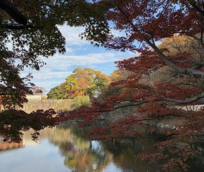 初紅葉 水鏡 西の丸庭園,紅葉渓庭園,もみじの写真素材