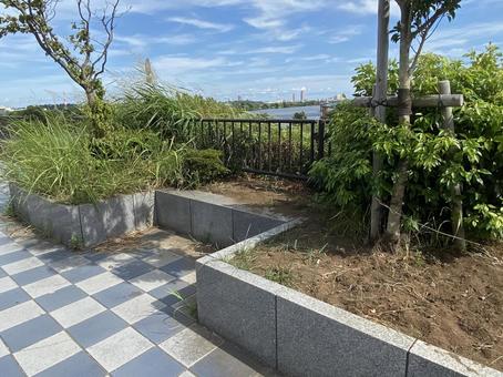 河川敷の植え込み 河川敷の植え込み 植栽,河川敷,花壇の写真素材