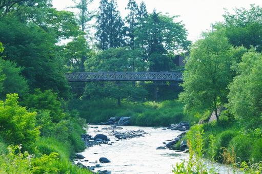 川と橋 川と橋の写真