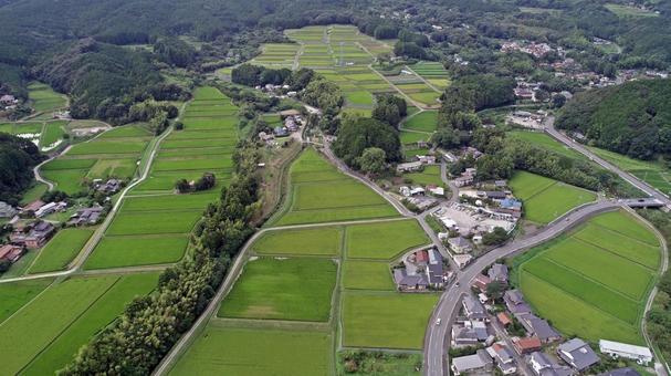 緑が眩しい水田と森林に宅地のコラボ 緑が眩しい水田と森林に宅地のコラボ 緑の絨毯,水田,森林の写真素材