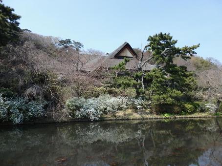 神奈川県 横浜市 三渓園 風景 神奈川県 横浜市 三渓園 風景の写真